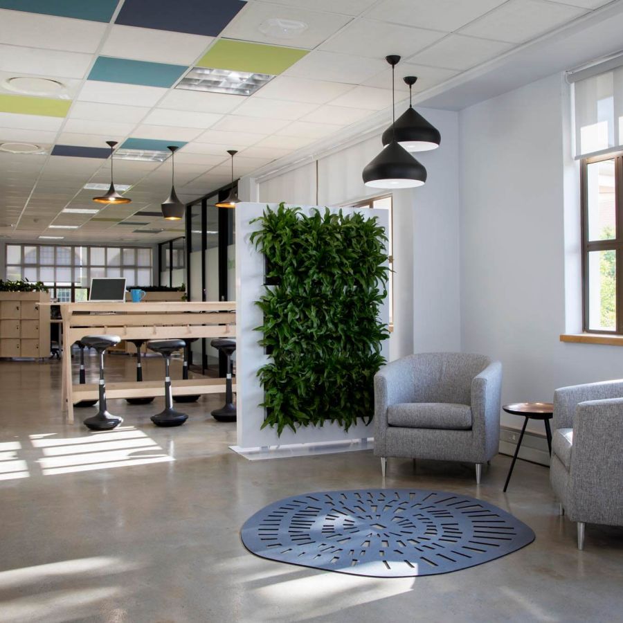 Pyramid-Office-DD-IT-02-Rikki-Hibbert